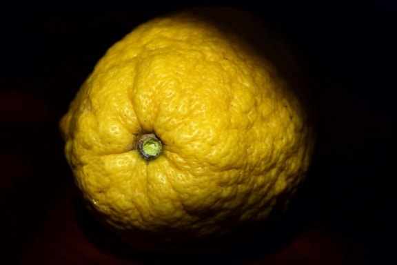 macro, food, lemon, fruit, citrus, diet, indoor, dark, darkness, shadow