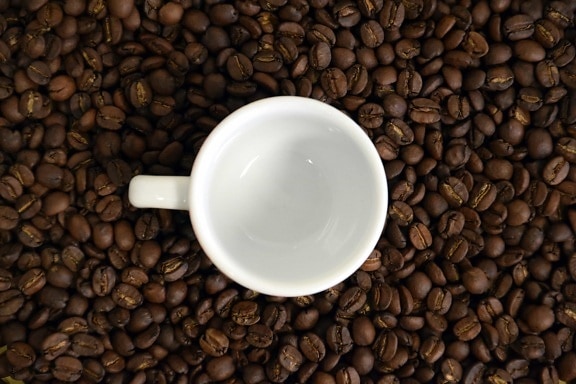 fazuľa, kofeín, dark, cappuccino, nápoj, espresso, káva