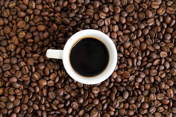 kacang, Piala, minuman, espresso, kafein, kopi, minuman, cappuccino