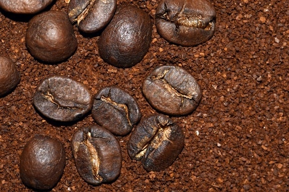 カフェイン、ドリンク、種、暗い、コーヒー、エスプレッソ、豆