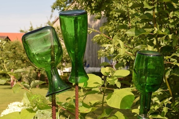 glas, flaske, blade, haven, udendørs, baggård