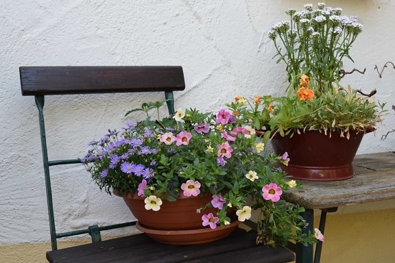 flower, vase, flowerpot, flora, planter, pot, garden, still life