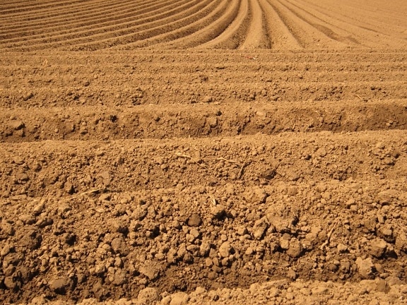 talaj száraz, mezőgazdaság, talaj, talaj