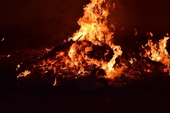 smoke, wildfire, bonfire, heat, flame, night, dark