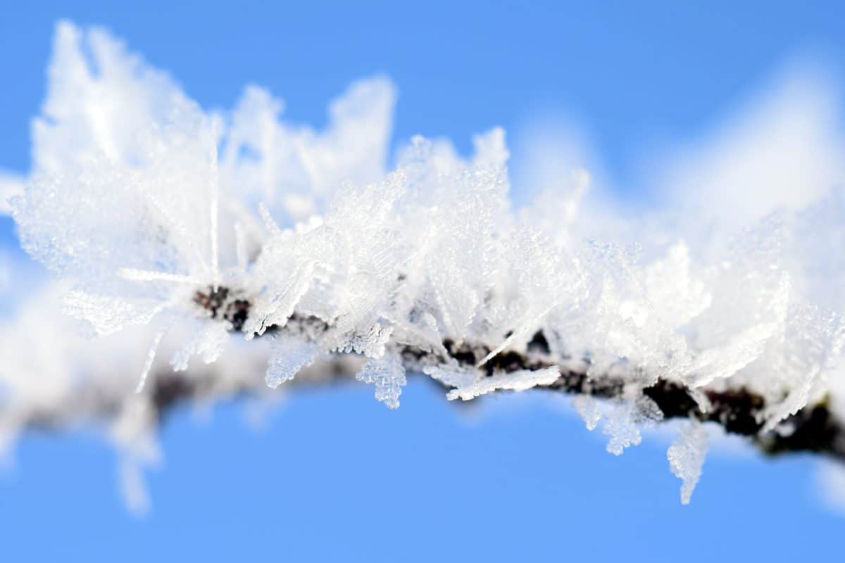 снежинка, синьо небе, природа, лед, замразени, студено, замръзване, зимен, кристал