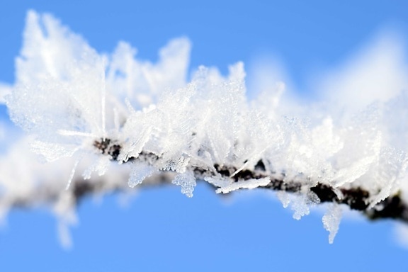 Snowflake, blå himmel, natur, is, frosne, kaldt, frost, vinter, krystall