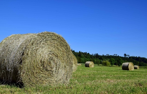 agriculture, green grass, haystack, countryside, landscape, straw