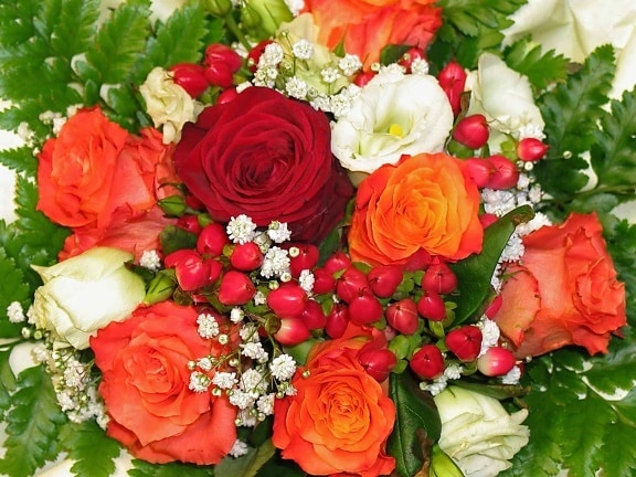 arrangement, blomst, bukett, kronblad, rose, rosa, blomst, plante