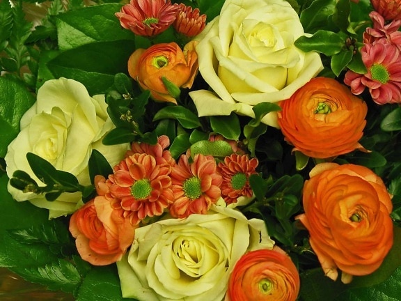 Лепесток, букет, Роза, композиция, лист, цветок