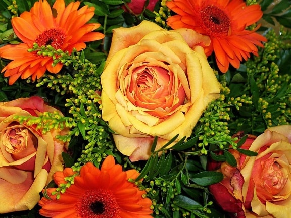 花束, 五颜六色, 园艺, 玫瑰, 自然, 植物, 新娘, 花, 安排