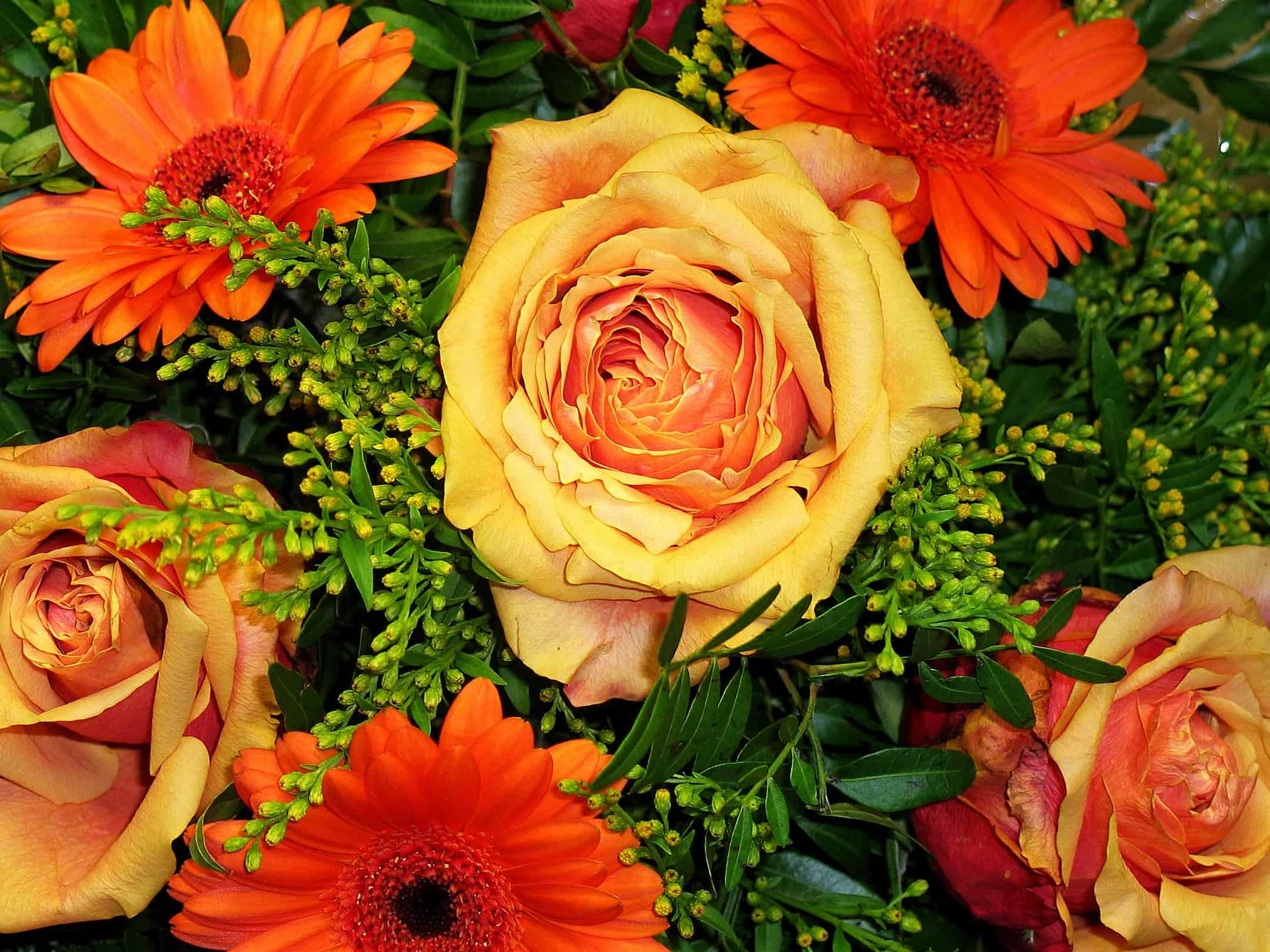 フリー写真画像 花束 カラフルな園芸 バラ 自然 植物 花嫁 花 アレンジメント
