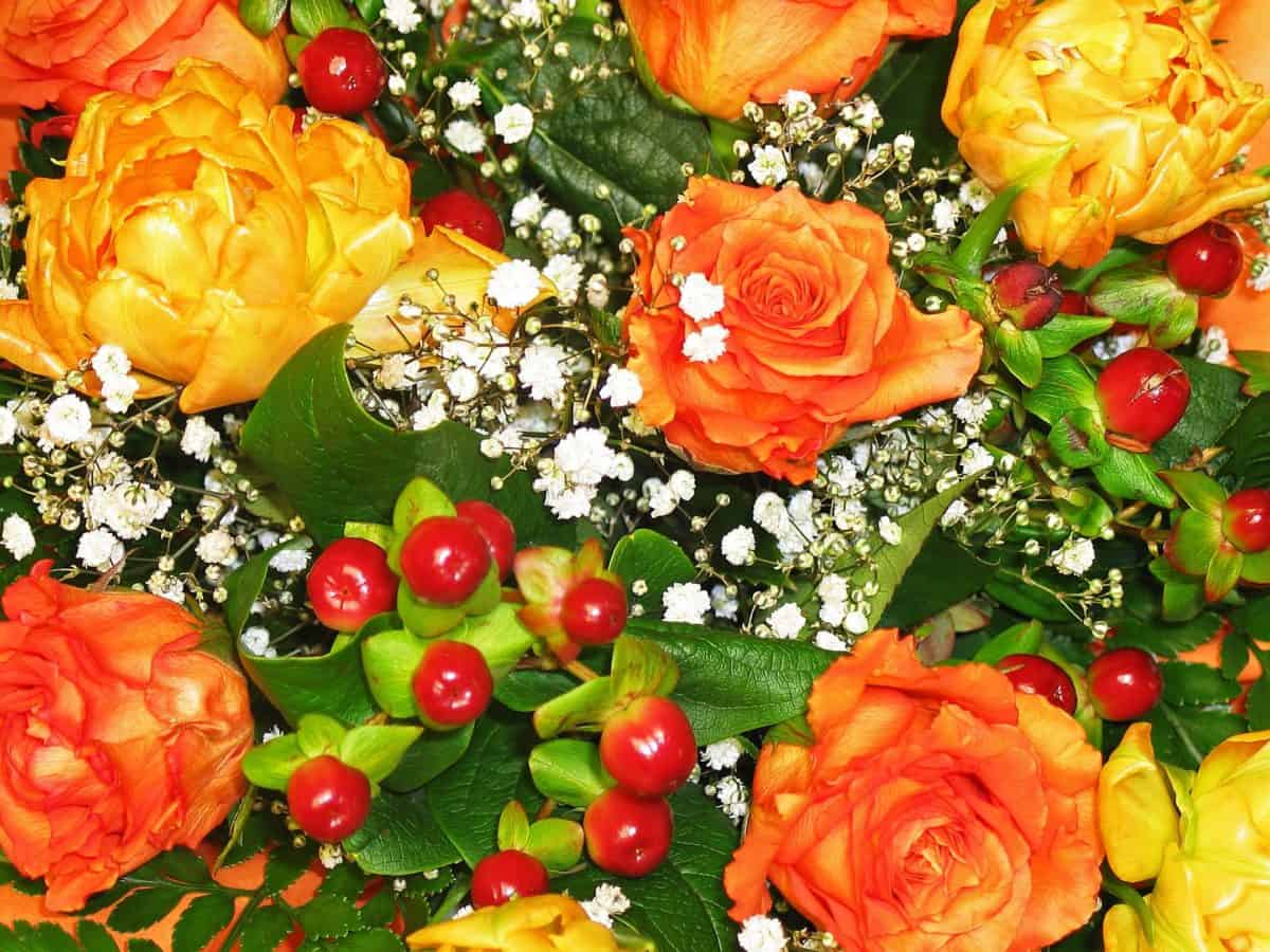 boeket, bloemblaadje, roos, bloem, regeling, kleurrijke