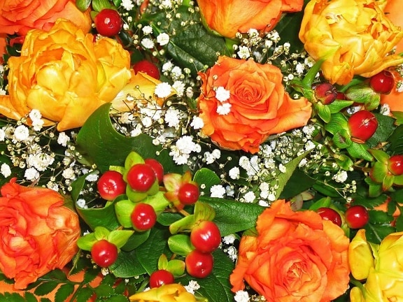 buket, petal, gül, çiçek, düzenleme, renkli