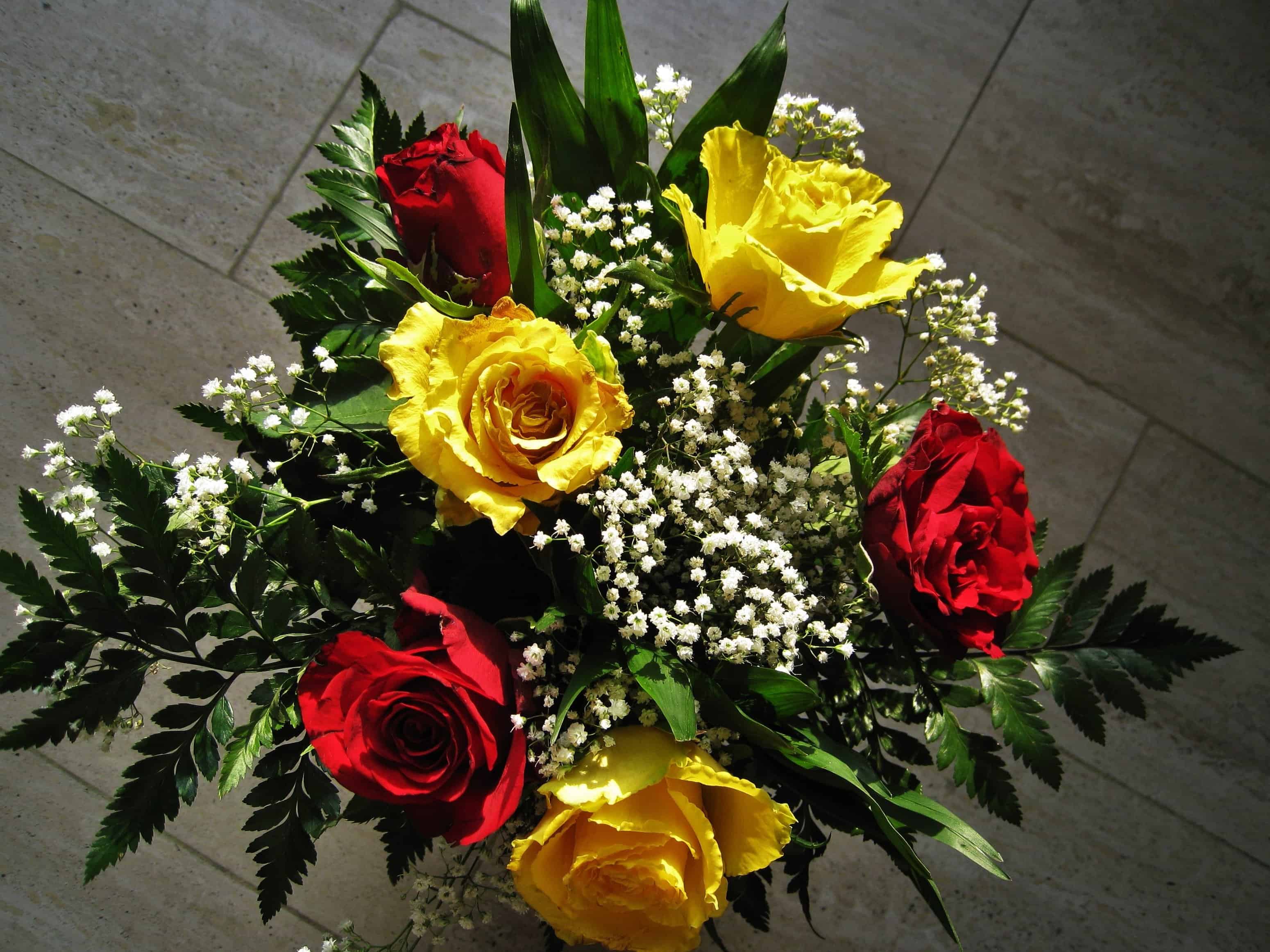 Free picture: bouquet, green leaf, arrangement, flora, rose, flower, plant