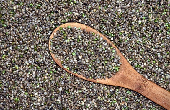 nature, food, texture, dry, ground, outdoor, seed, spoon