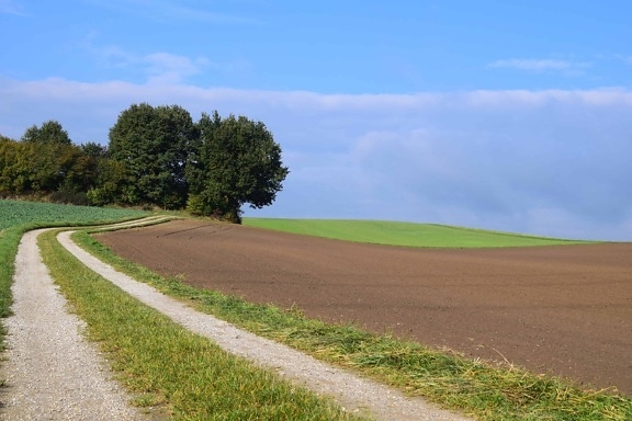blue sky, countryside, nature, landscape, road, field, green grass, meadow