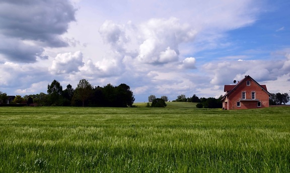 krajobraz, rolnictwo, Błękitne niebo, Chmura, Zielona trawa, pola, lato, wsi