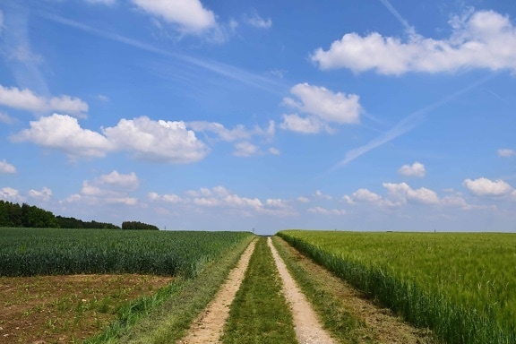 landscape, road, summer, field, nature, sky, countryside, agriculture