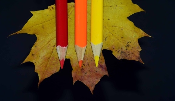 drewna, liści, ołówek, jesień, kolorowe, ozdoba, cień