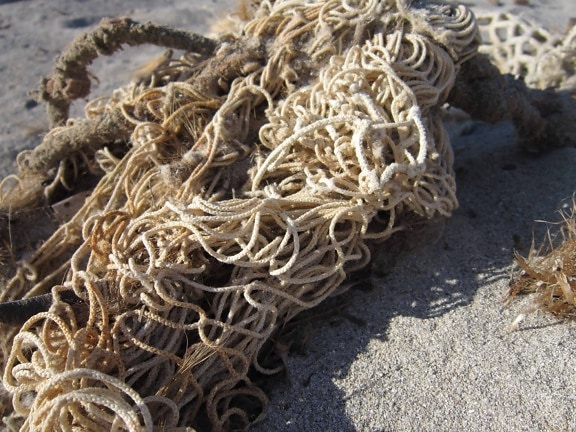 rope, ground, daylight, outdoor, beach, sand