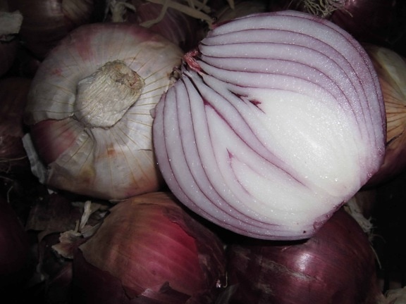food, root, onion, vegetable, spice, macro, detail