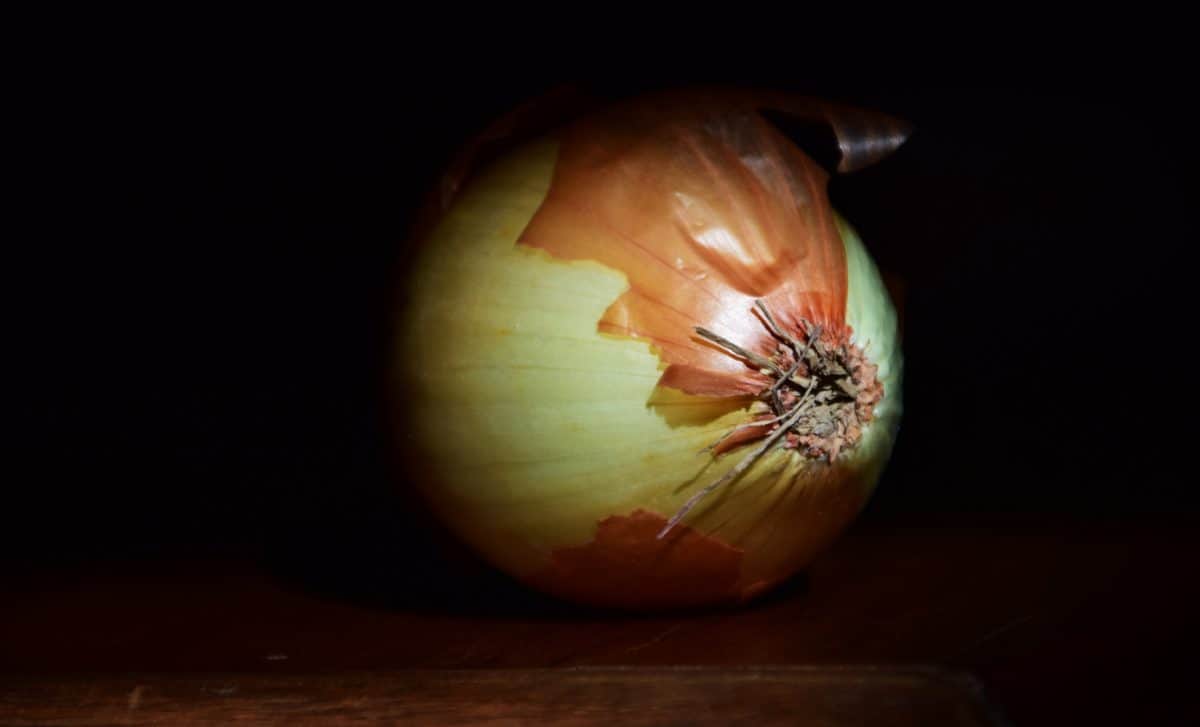 food, onion, stalk, vegetable, fruit, indoor, darkness