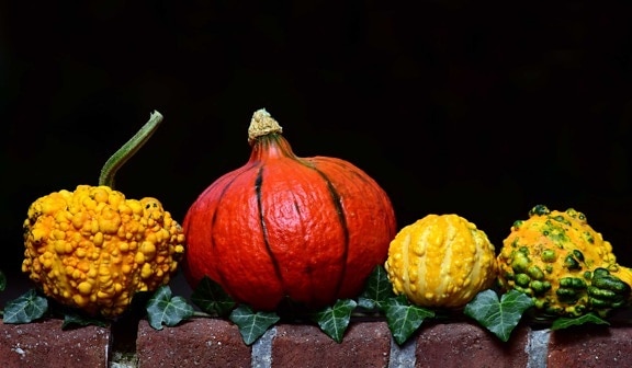 listy, dýně, zelenina, jídlo, podzim, rostlina, barevné, dekorace