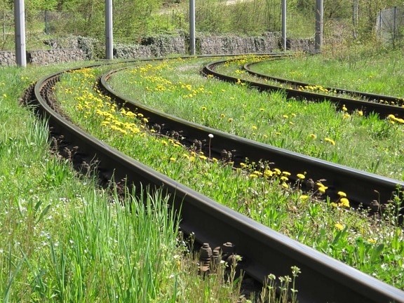 metall, transport, gräs, järnväg, blomma