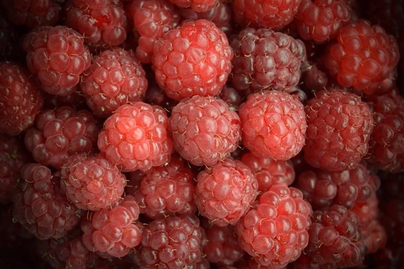 raspberry, sweet, berry, fruit, delicious, food, dessert