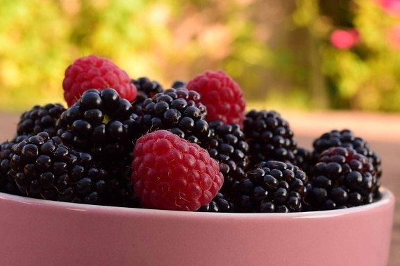 berry, bowl, fruit, food, blackberry, sweet, raspberry, dessert