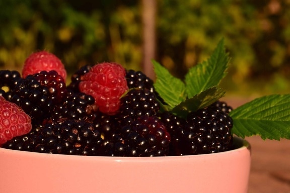berry หวาน อาหาร ผลไม้ ราสเบอร์รี่ อร่อย blackberry ชาม กลางแจ้ง