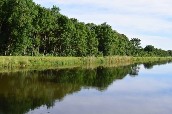 Riverbank, cielo blu, albero, legno, fiume, riflessione, paesaggio, natura, acqua