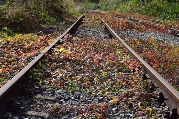 railroad, stone, bush, nature, grass, outdoor, autumn