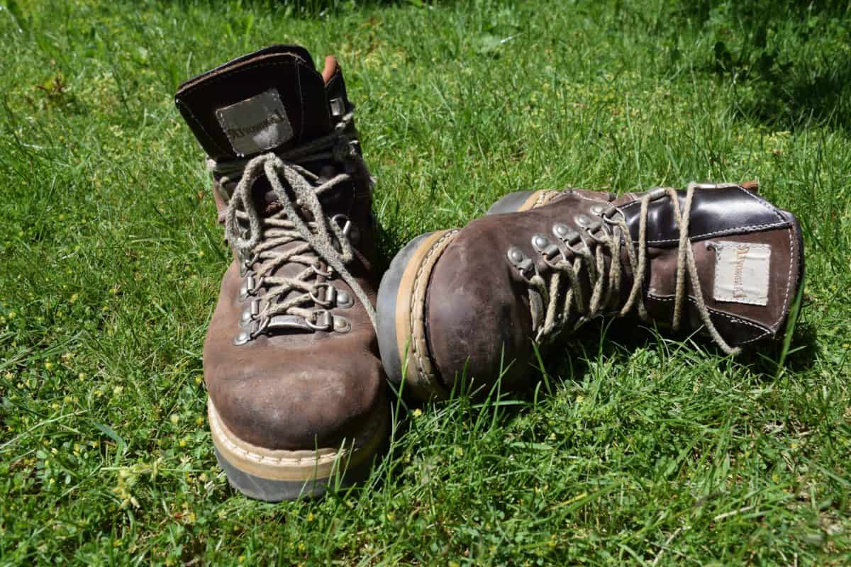 cuero, calzado, hierba, zapato, bota, cordón