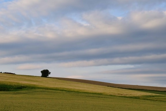 Prairies, hill, l’agriculture, lumière du jour, paysage, gazon, ciel