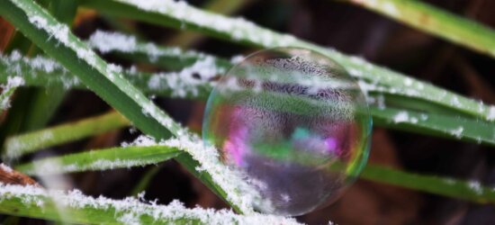 sphere, frost, macro, snowflake, leaf, plant, nature