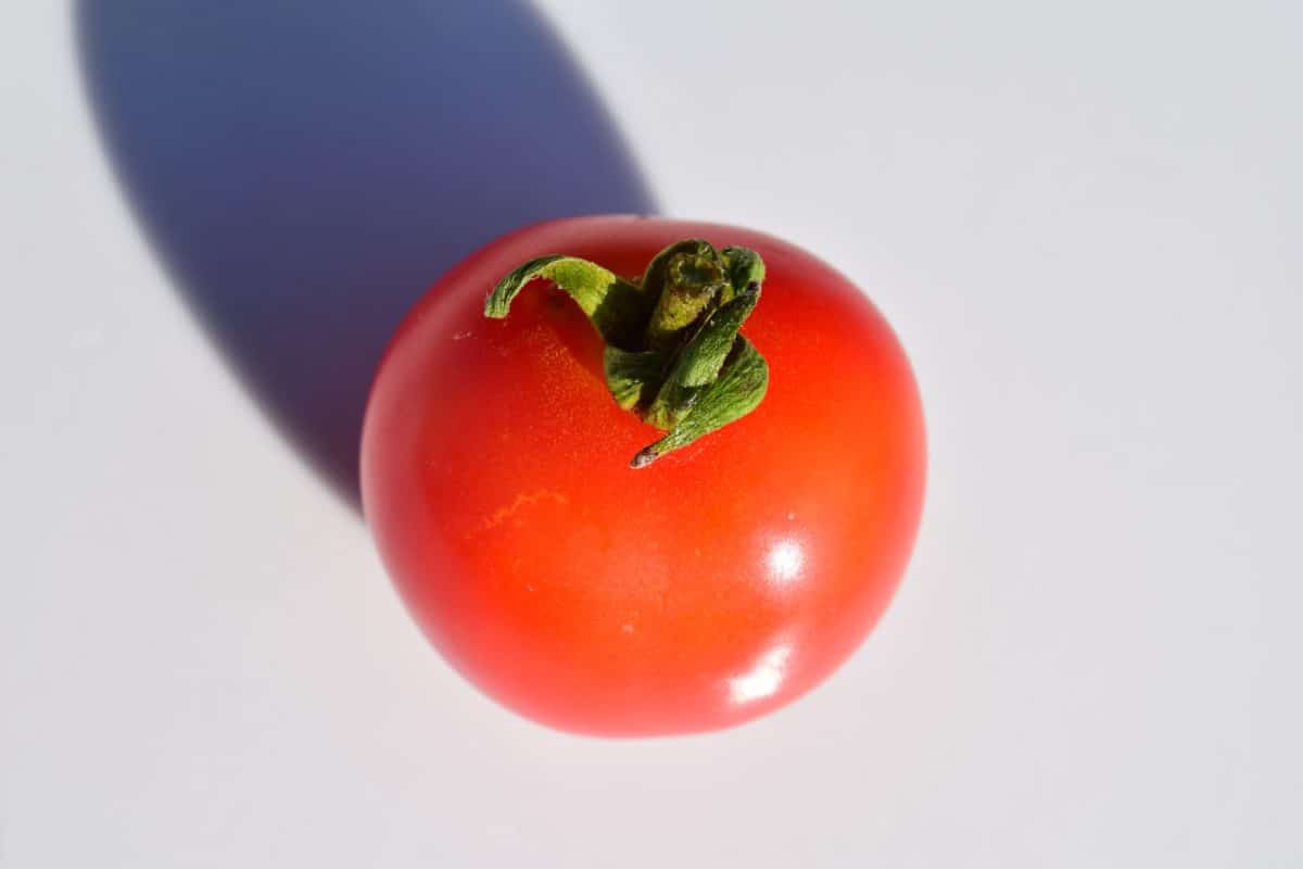 tomate, verdura, hierba, alimento, sombra, ensalada, dieta, orgánico