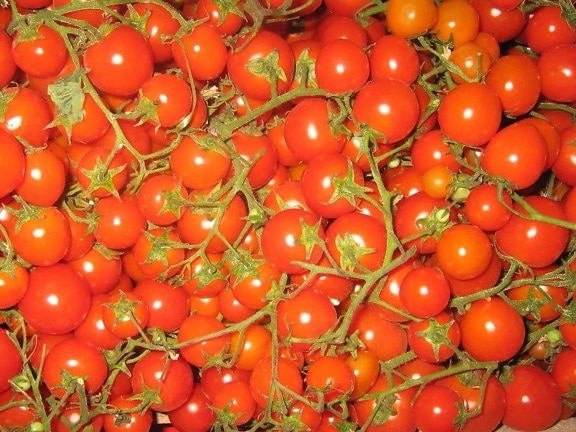 đỏ, cà chua, rau, ngon, ăn kiêng, thực phẩm vĩ mô