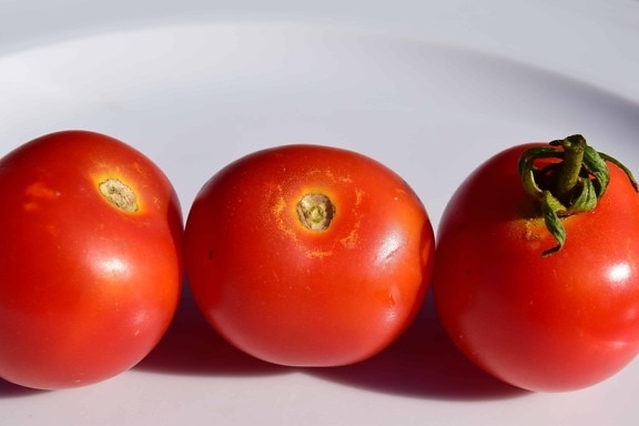 tomaat, groente, eten, rood, vitamine, vegetarische, kruid