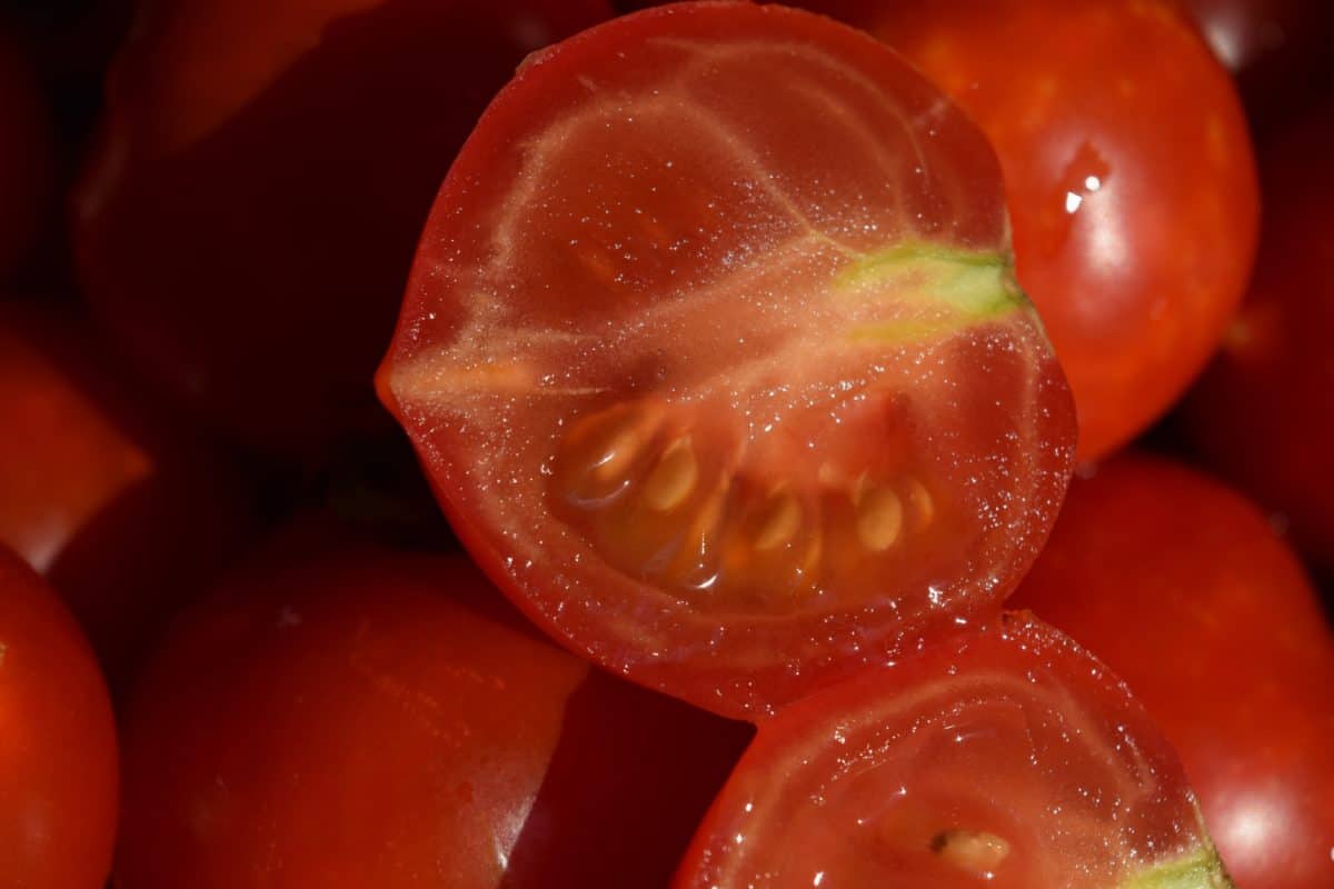 tomato, detail, red, food, diet, organic, vitamin, meal