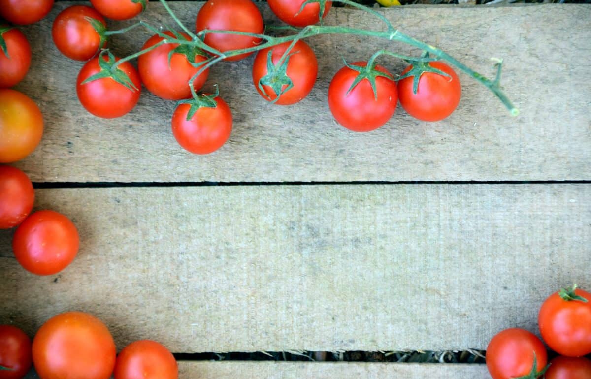 tomate cerise, légume, jardin, rouge, nourriture, nutrition