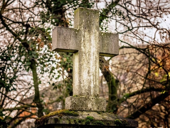 stone, cross, cemetery, tree, grave, nature, wood, tombstone
