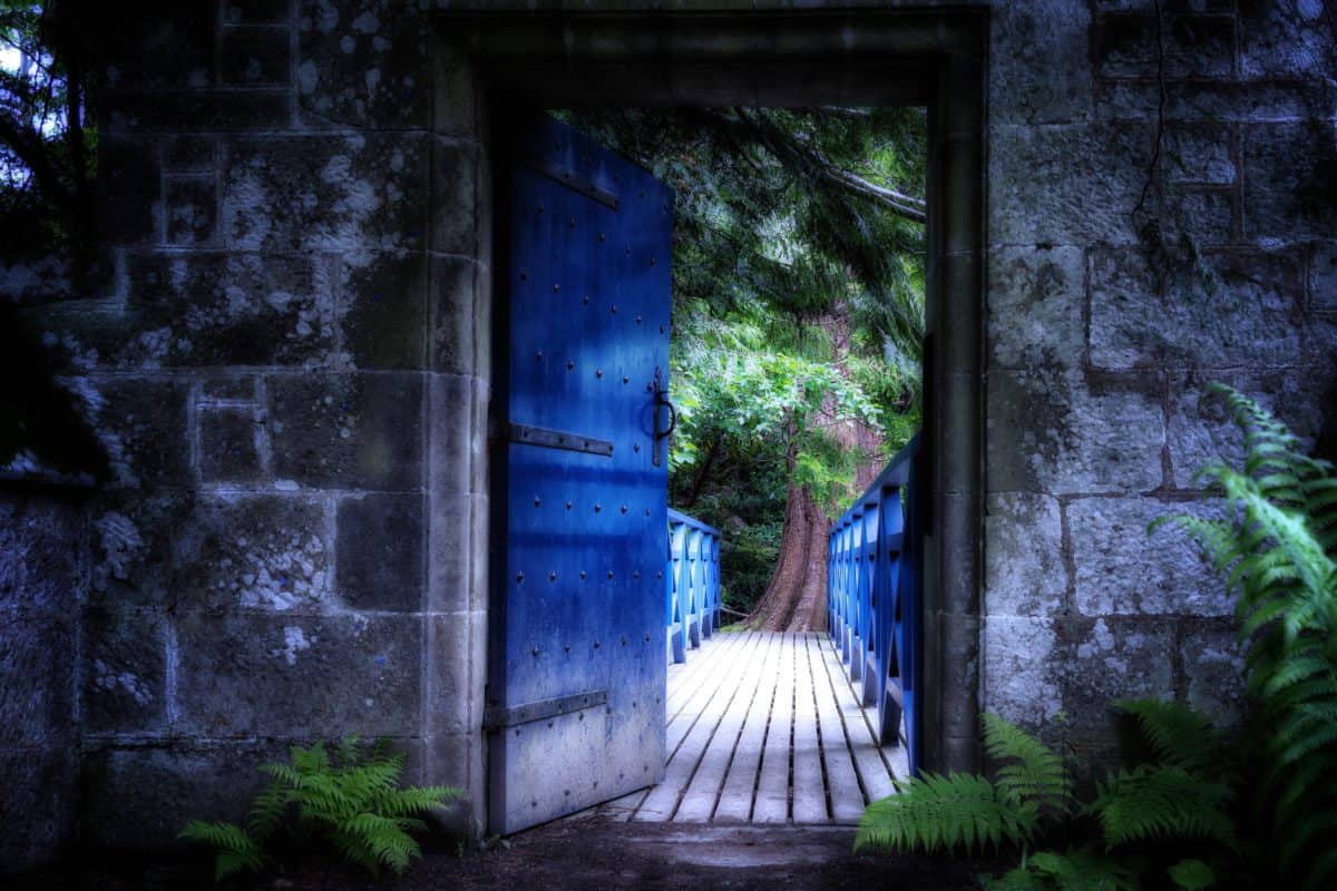 дерево, Открытый, дверь, стена, тень, темно, передняя дверь