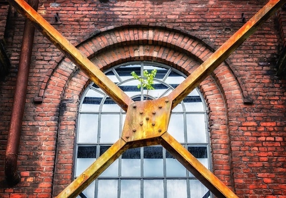 plant, metal, window, brick, architecture, construction