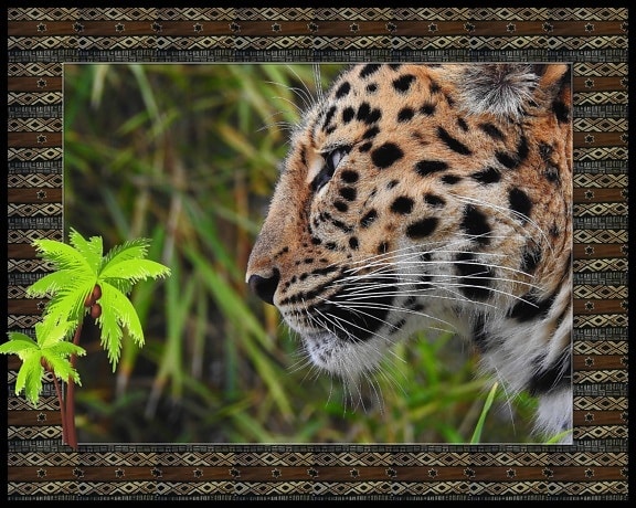 fotomontagem, leopardo, selvagem, natureza, predador, peles, animal, animais selvagens