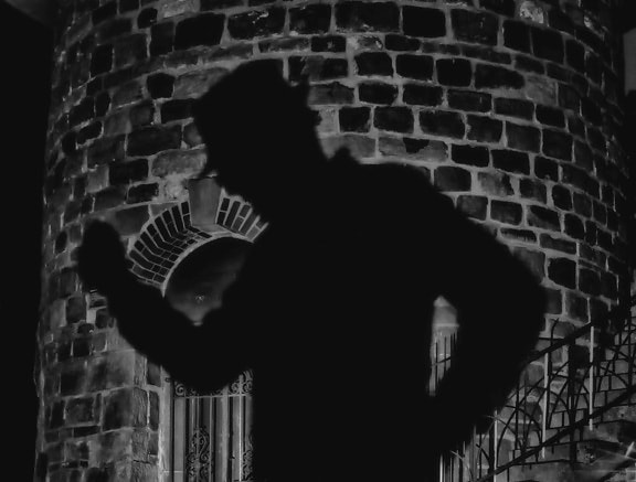 hombre, sombra, luz, ladrillo pared, monocromo, la oscuridad