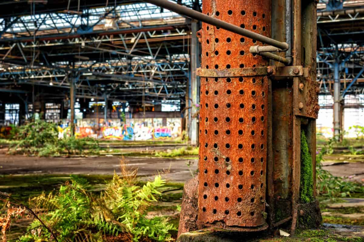 plant, grass, concrete, industry, old, warehouse, factory