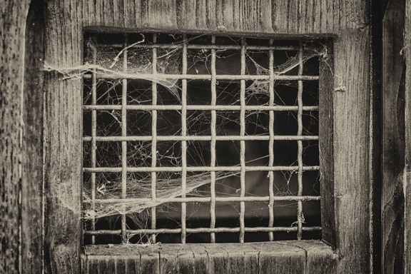 spiderweb, cửa sổ, cũ, kiến trúc, xây dựng, đơn sắc