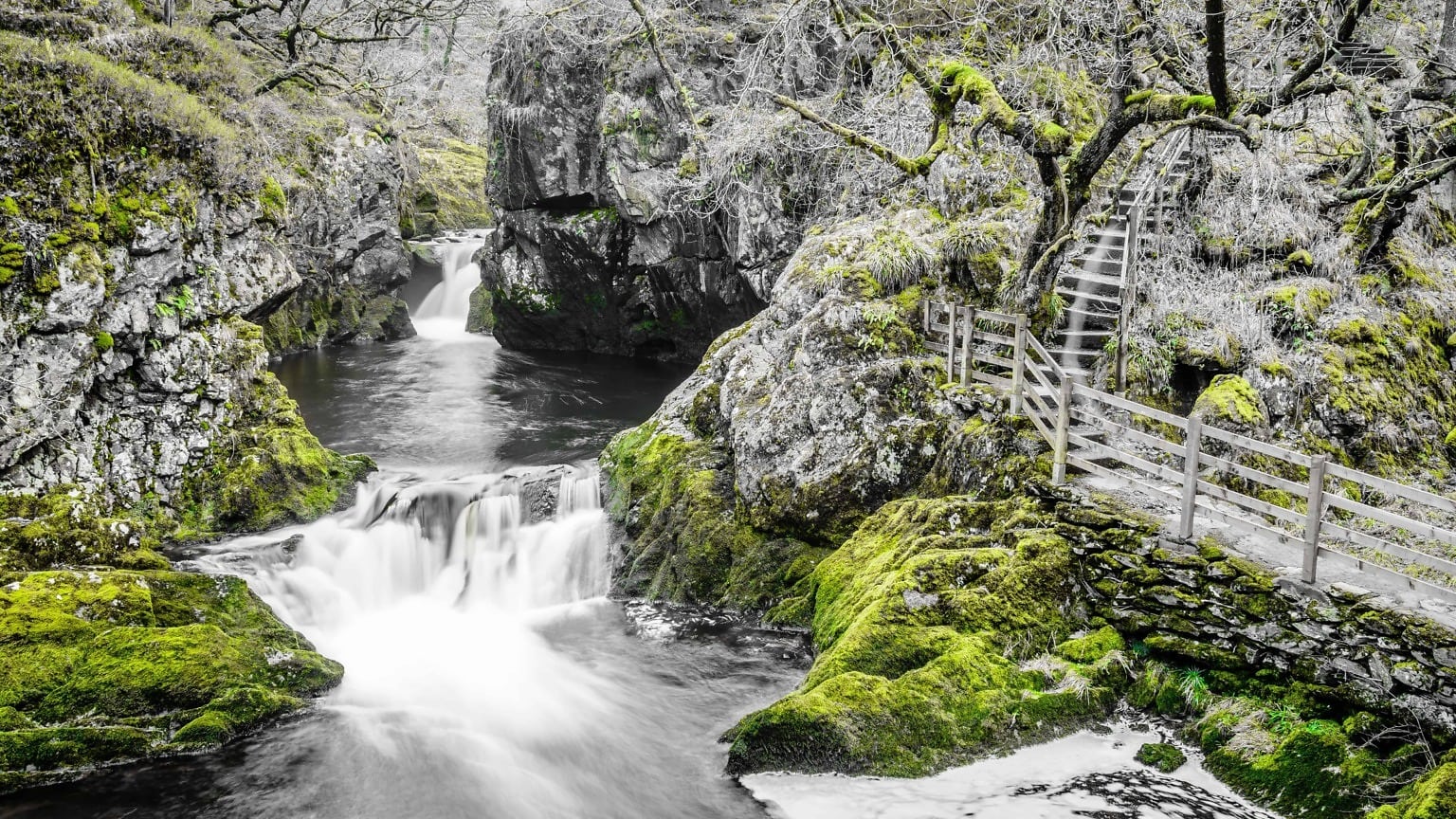 Природа потока. Ever Green Wood with Waterfall.