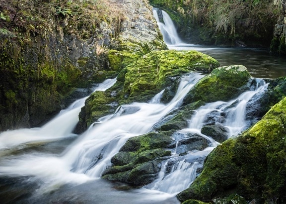 nature, water, landscape, river, stream, waterfall, wood, moss